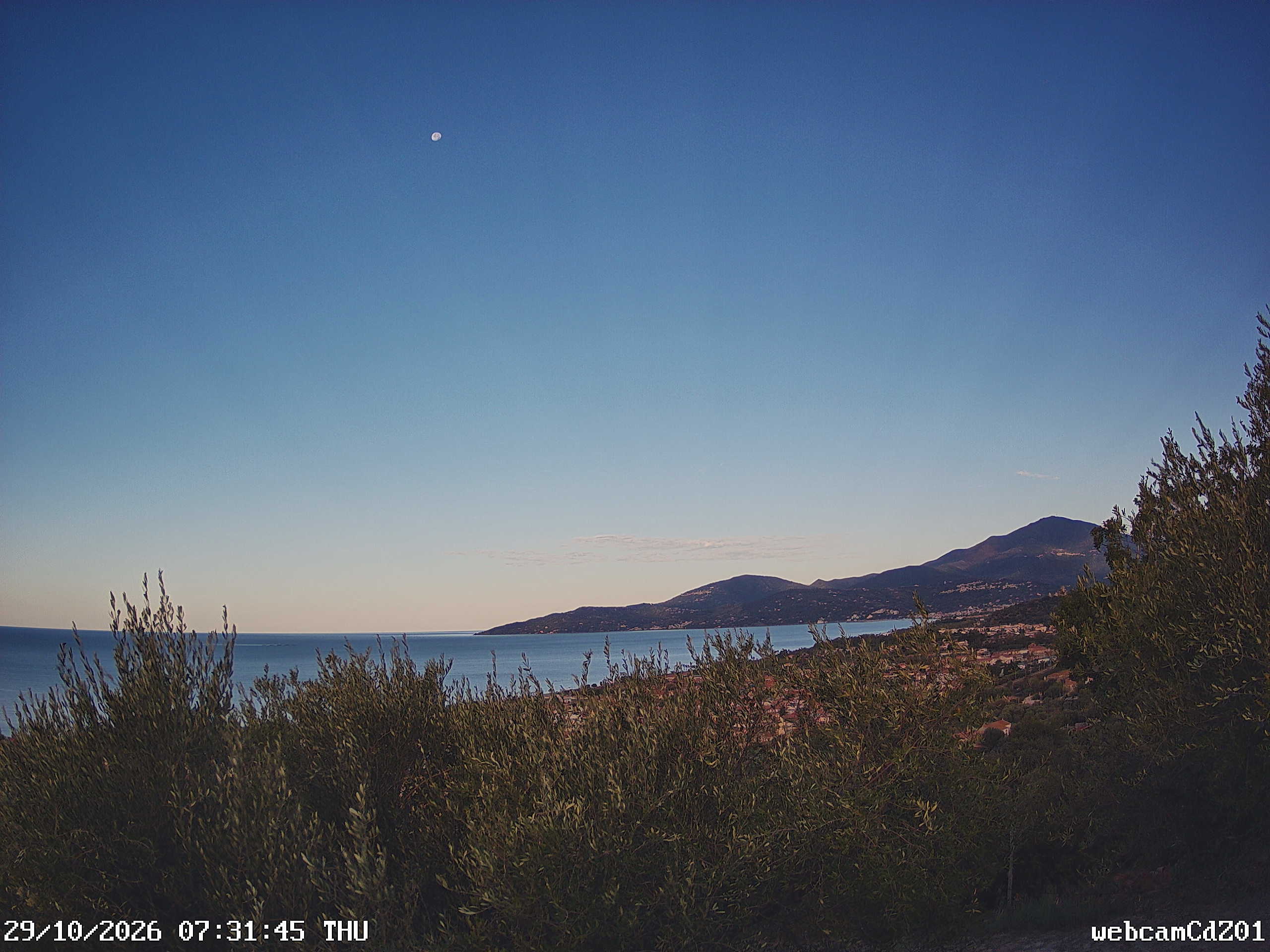 Ultima immagine webcam